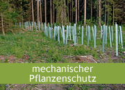 Pflanzenschutz mechanisch